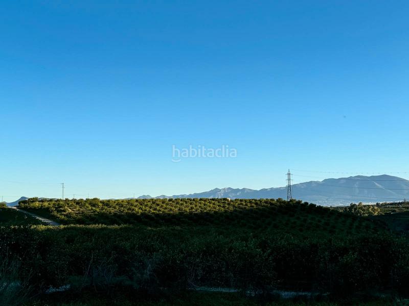 Foto 9bb91b5c-f7b9-41d6-8907-2f43c938e8b8. Casale in Pizarra