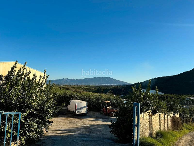 Foto b84a5cd4-3a01-4a55-806f-6d2bfd13d9a5. Casale in Pizarra