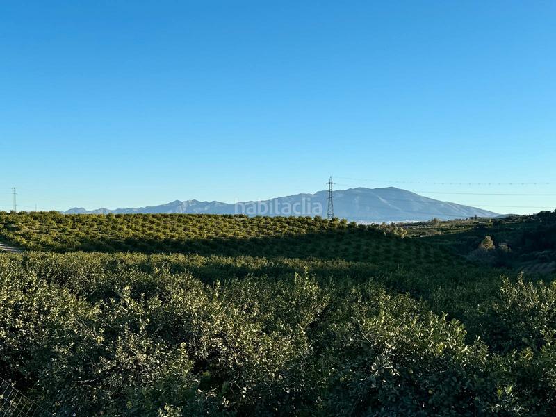 Foto fafb7cf2-1250-490f-a27e-702191b6c1c8. Casale in Pizarra