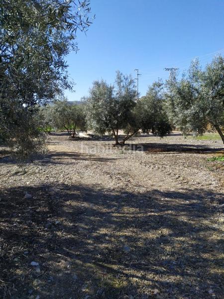 Foto 6c269beb-a7db-4d3e-a16c-bbcbdcccb66d. Terrain résidentiel dans Álora