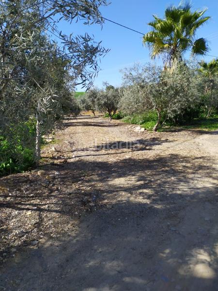 Foto 972ab838-889f-43b8-8176-fdd3e19c94c7. Terrain résidentiel dans Álora