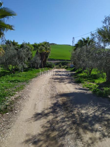 Foto fc94babe-2f39-4856-b474-ce9d54f147ee. Terrain résidentiel dans Álora