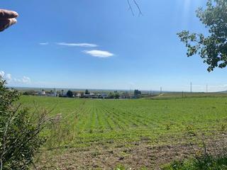 Terreny residencial a Salteras