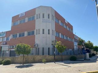 Édifice à Pisa. Edificio haciendo esquina a dos calles principales del parque in