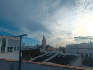 Alquiler Apartamento  Calle federico rubio