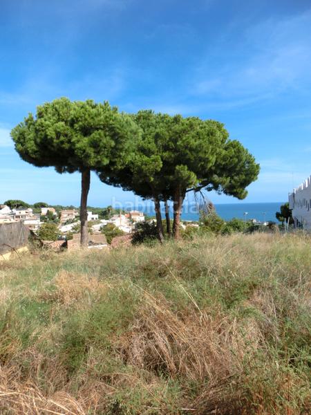 Foto f5716e1f-4f28-465a-9e0a-8bc127f988dc. Terreno residenziale in Canet de Mar