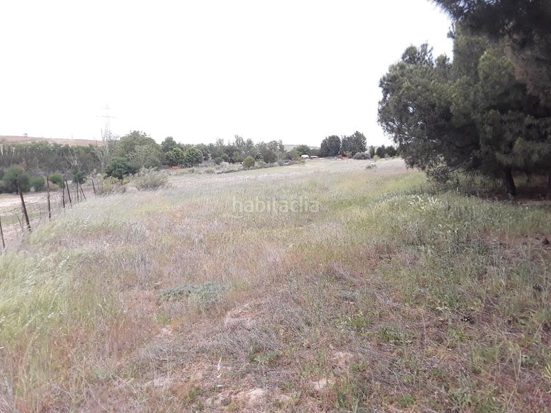 Foto 15af1805-e5ab-4638-affa-ec4ab63f41cc. Propriété dans calle batres 7 dans Moraleja de Enmedio