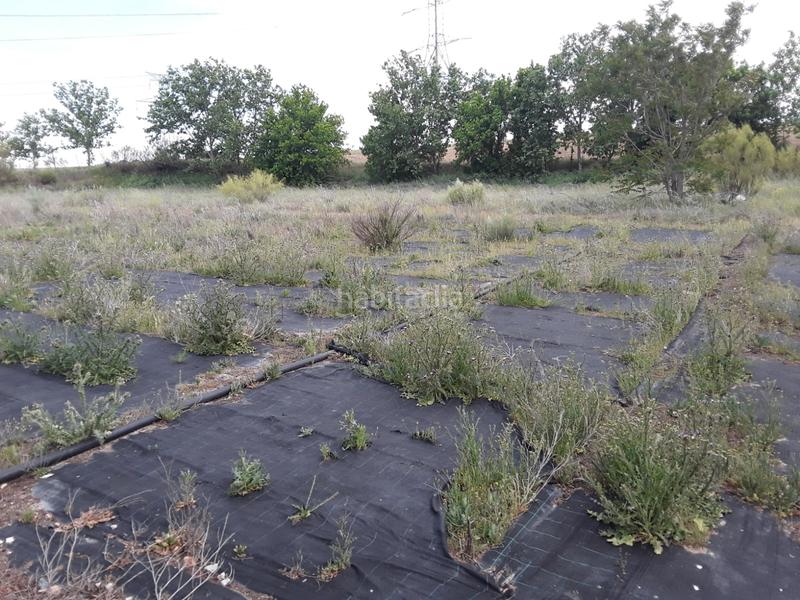 Foto 694c7545-f2c3-4f2a-a974-ed75e03fec90. Propriété dans calle batres 7 dans Moraleja de Enmedio