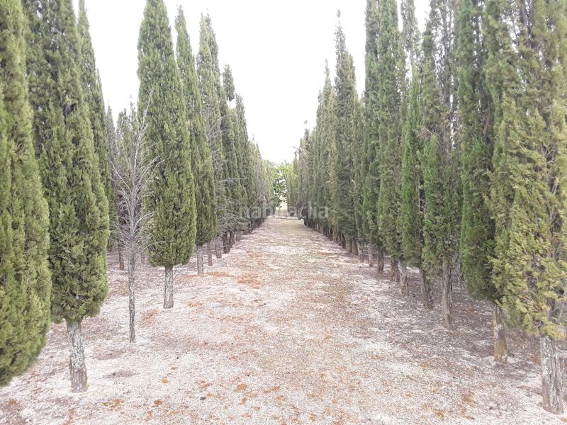 Foto f325e94d-b5c7-4683-a7a7-800a0f43a0f5. Propriété dans calle batres 7 dans Moraleja de Enmedio