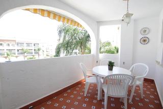 Piccolo appartamento in Calle GIRASOLES LOS
