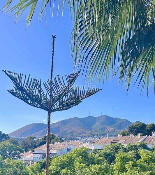 Foto 09e12d5b-a7fe-4ad7-a17d-7ee20bc12d82. Rez-de-chaussée avec parking piscine dans Zona Centro Comercial Torrequebrada Benalmádena