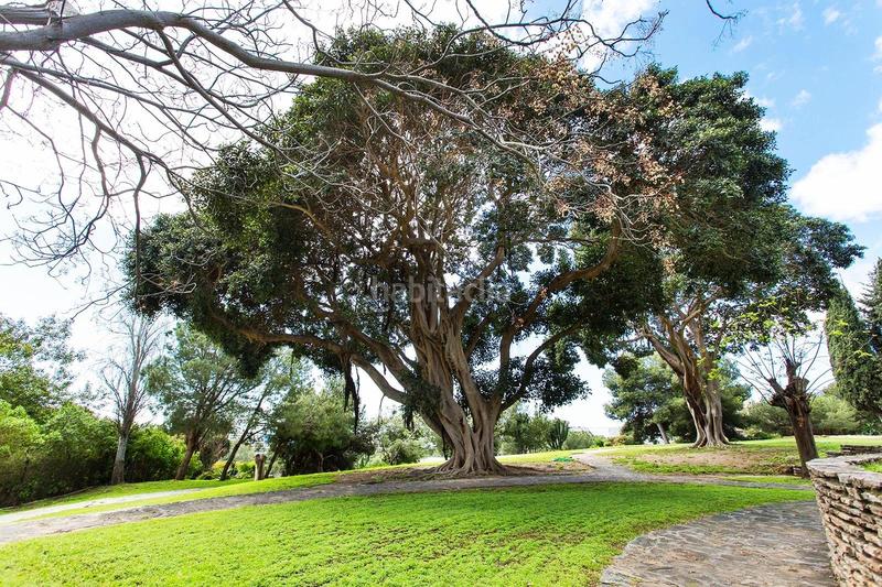 Foto da35f0a6-0b26-4673-8ebe-c4de4f90402a. Apartment with parking pool in Parque de la Paloma Benalmádena