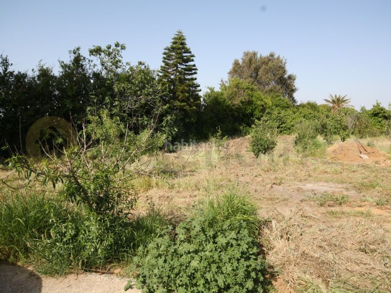Foto a498a20c-9353-46c6-b76b-0a2244428fda. Casa a Chipiona norte Chipiona