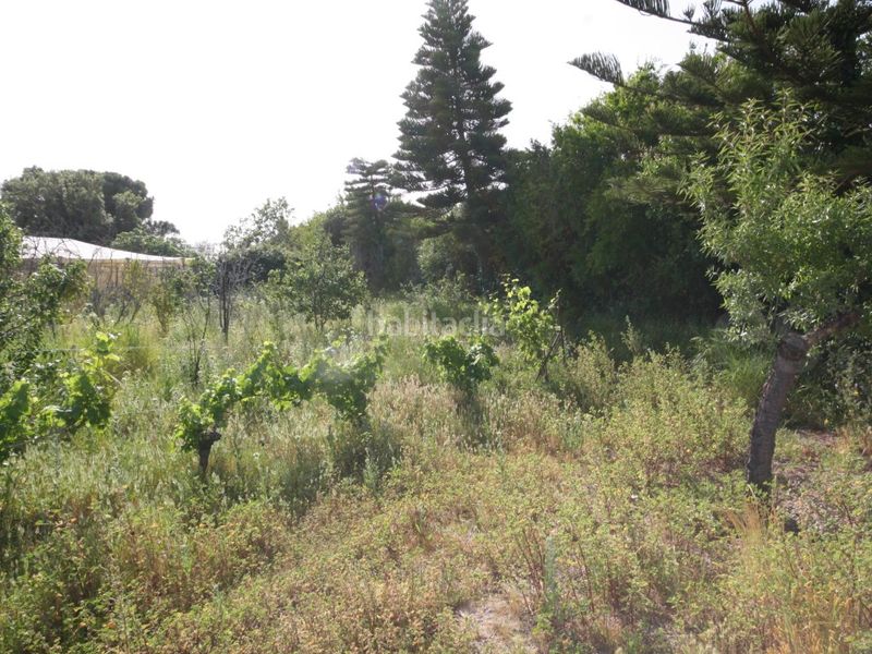 Foto e13415ef-689a-47fd-9d14-c7bd5daeb08c. Casa a Chipiona norte Chipiona