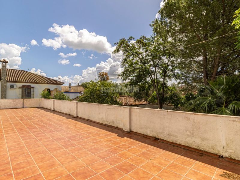 Foto 8b25b0c8-a264-47fc-9030-1405987ba572. Xalet a Arcos de la Frontera