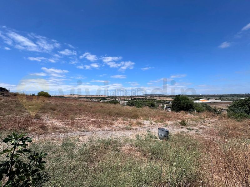 Foto 27a6dd17-423a-477f-b6f5-73ba72c6882b. Casa a Parque Atlántico - Ronda este Jerez de la Frontera