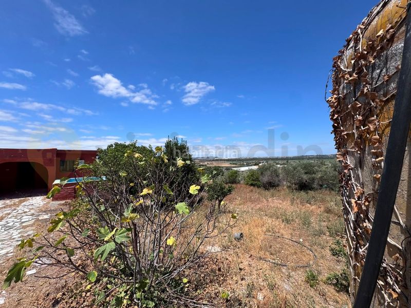Foto a78ae1e1-596d-4cf2-ab5f-71f06e1d5eb4. Casa a Parque Atlántico - Ronda este Jerez de la Frontera