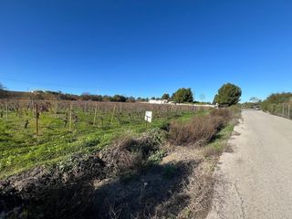 Casale in Centro. Magnífica viña en carretera sanlúcar