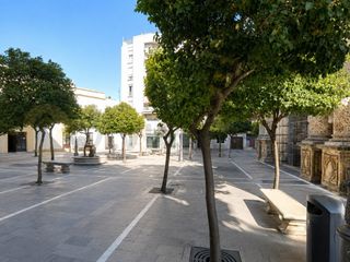 Estudi a Centro. Estudio en san anton