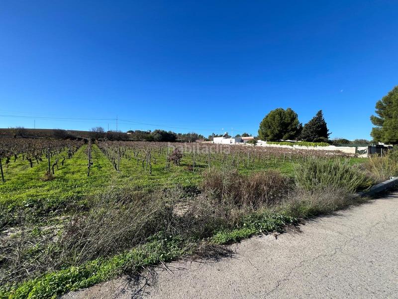 Foto b03fbc48-dc04-45b3-8205-1729a7ccfe40. Terrain résidentiel dans Picadueñas Jerez de la Frontera