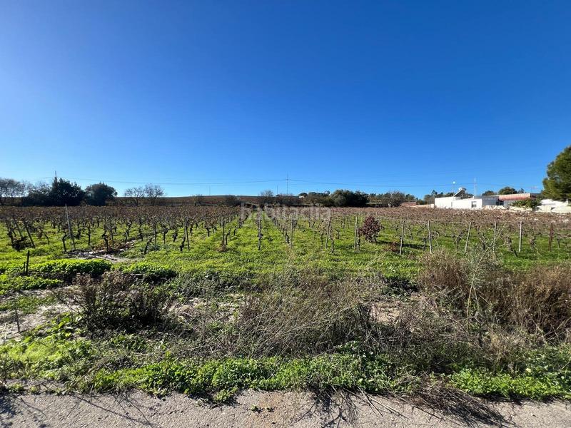 Foto d91c474d-2b8e-46ff-8024-1f19e0b62fe4. Terreno residenziale in Picadueñas Jerez de la Frontera