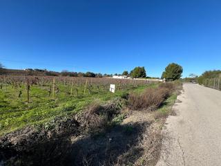 Masia a Centro. Magnífica viña en carretera sanlúcar