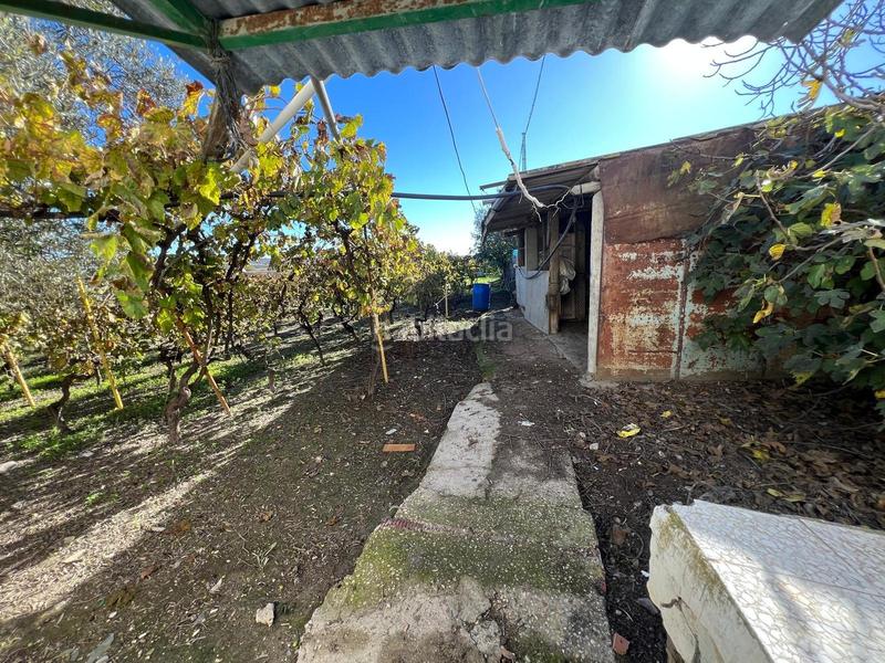 Foto 9823f0a4-f714-432a-9f27-406ff784b970. Masía magnífica viña en carretera sanlúcar en Centro Jerez de la Frontera