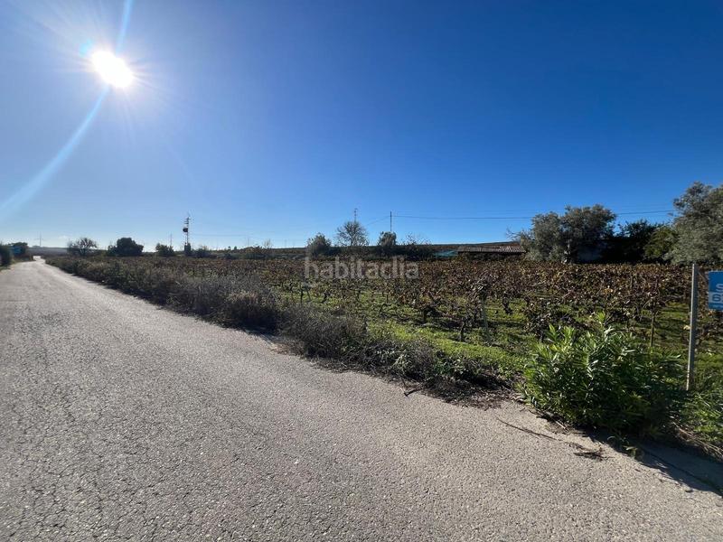 Foto a492dfd2-e12e-4f2b-a437-6315b10d500e. Masía magnífica viña en carretera sanlúcar en Centro Jerez de la Frontera