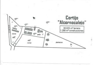 Propriété à San José del Valle. Cortijo en san josé del valle