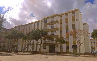 Pis a Chapín - Campus Universitario - Navinco. Piso en la granja nueva