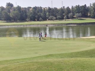 Terreny residencial a El Rocío - La Milagrosa. Magníficas parcelas en montecastillo