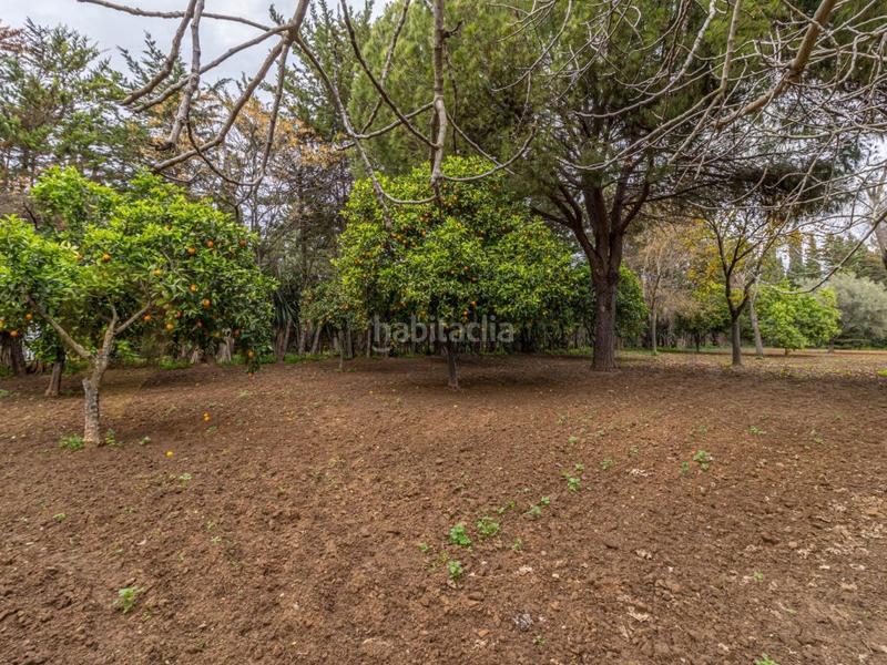 Foto 0d212828-8fca-4ffe-857d-4c7dcc363528. Xalet a El Retiro - La Vid Jerez de la Frontera