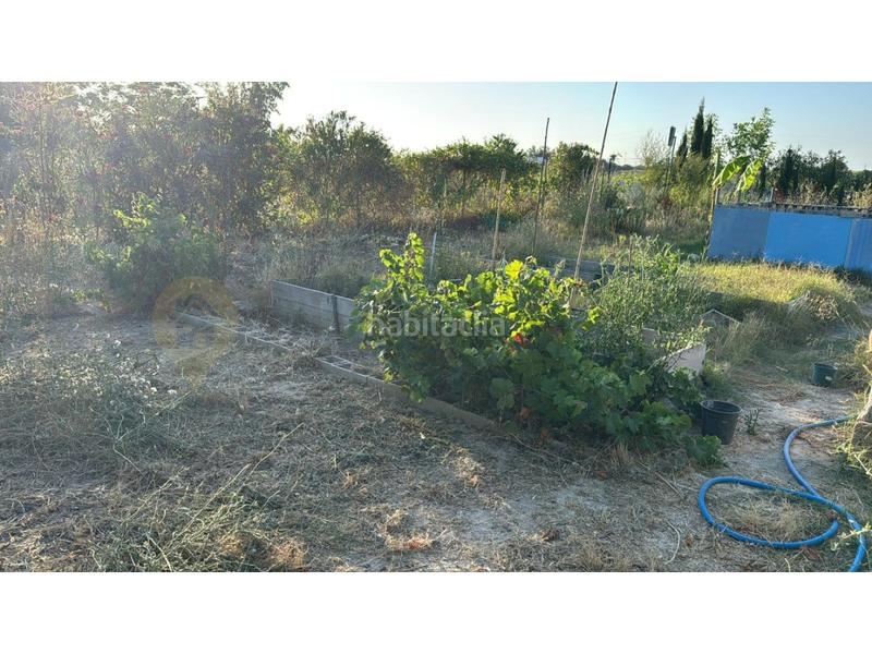 Foto 19c861a7-6bae-476c-aa11-ae70228d9001. Landgut in El Rocío - La Milagrosa Jerez de la Frontera