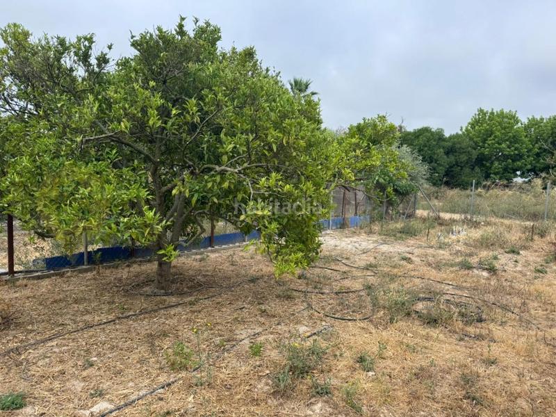 Foto 1ceb8e69-cc05-44d8-95b9-54e8db0abfc2. Landgut in El Rocío - La Milagrosa Jerez de la Frontera