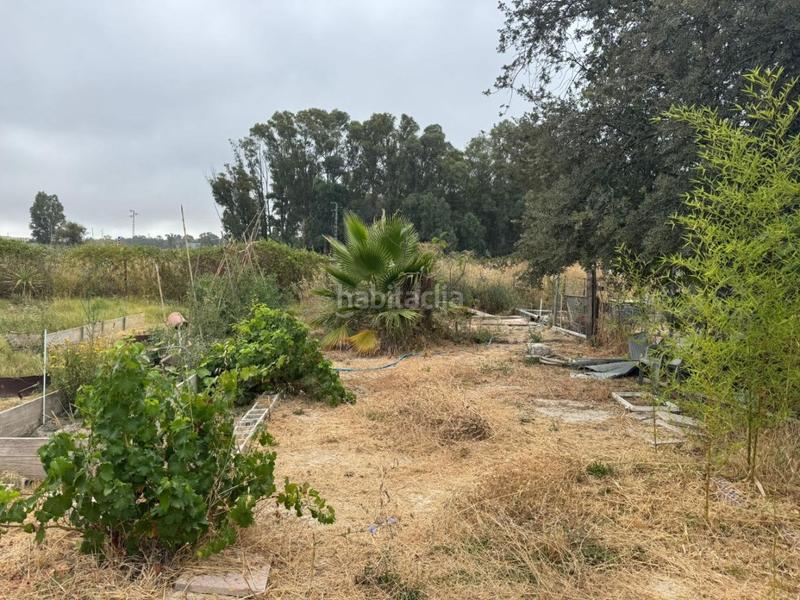 Foto 4853272d-7e26-4ac1-9105-f0f97716336b. Landgut in El Rocío - La Milagrosa Jerez de la Frontera