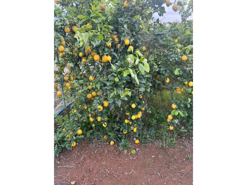 Foto 6671644b-410d-47bd-bf8f-df656de937ef. Landgut in El Rocío - La Milagrosa Jerez de la Frontera