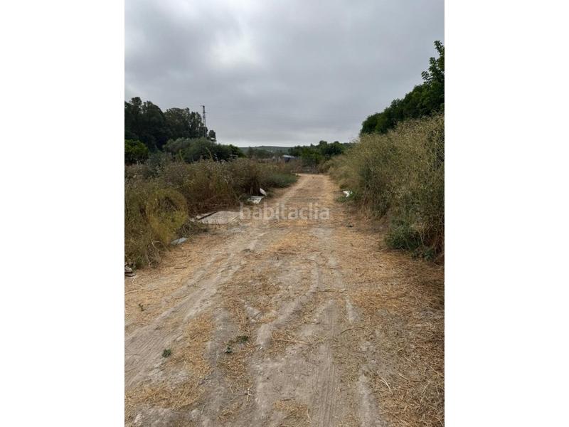 Foto 7eb70bf0-1252-4889-bc9d-4d73895387aa. Landgut in El Rocío - La Milagrosa Jerez de la Frontera