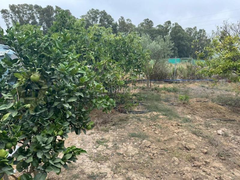 Foto 8a23f4d8-ec21-4482-82e8-716fe2b85e31. Landgut in El Rocío - La Milagrosa Jerez de la Frontera