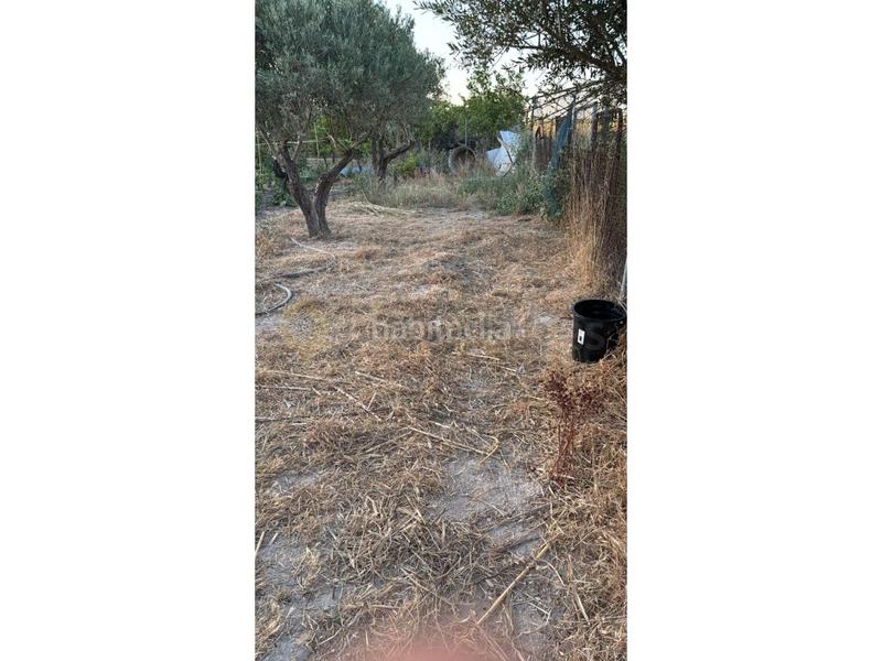 Foto b4365f3d-16ca-47cb-b7ce-f3c914ff1322. Landgut in El Rocío - La Milagrosa Jerez de la Frontera