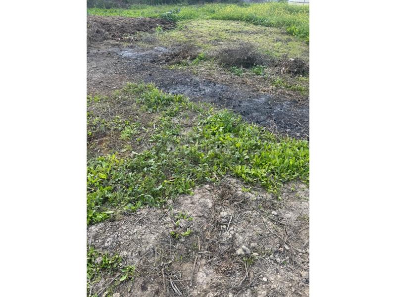 Foto cf2f7118-5667-4d3e-b79b-197b2c5d2919. Landgut in El Rocío - La Milagrosa Jerez de la Frontera