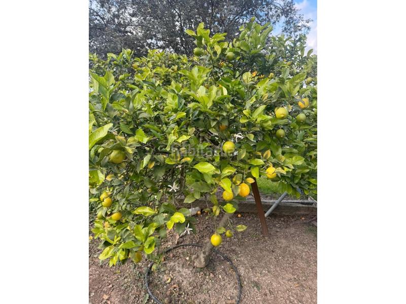 Foto d23763f2-5fde-49af-ba6f-509a4270367a. Landgut in El Rocío - La Milagrosa Jerez de la Frontera