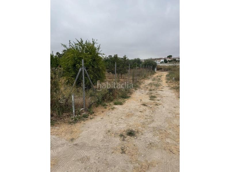 Foto d66faa6f-09e8-48a2-bb09-110c7540d663. Landgut in El Rocío - La Milagrosa Jerez de la Frontera