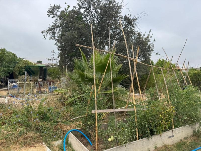 Foto dc4b10fa-0ace-438a-bace-d37477aa8671. Landgut in El Rocío - La Milagrosa Jerez de la Frontera