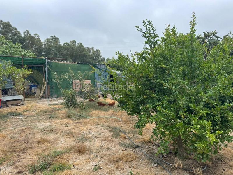Foto fe498266-b46c-4aac-8129-f2e51134d8cf. Landgut in El Rocío - La Milagrosa Jerez de la Frontera