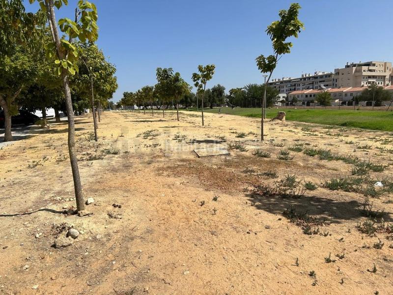 Foto a1b97458-6cd1-4898-b121-facb284fe2ee. Residential plot in El Rocío - La Milagrosa Jerez de la Frontera