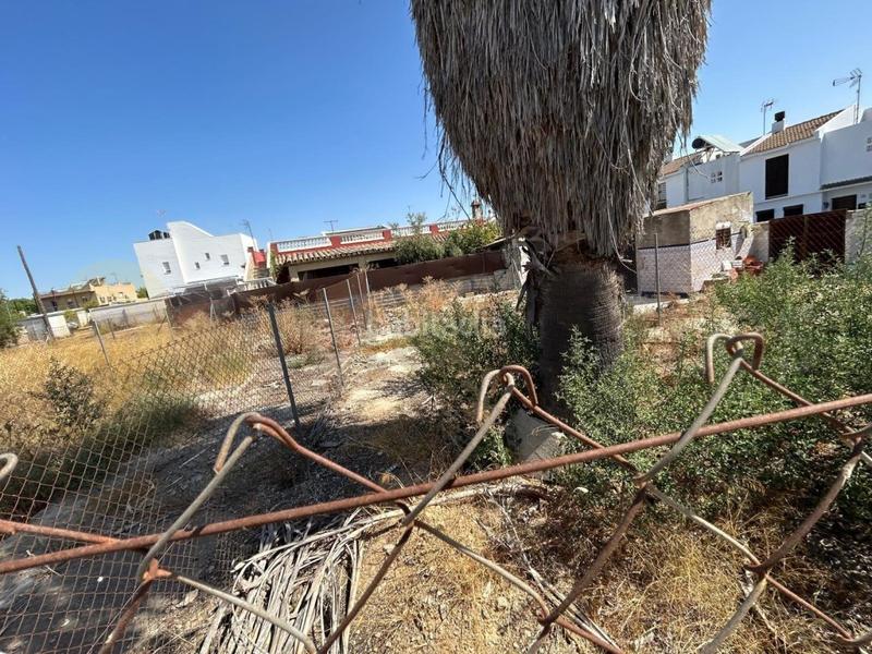 Foto e06d6877-e921-4b28-bf4a-1eef52267dab. Residential plot in El Rocío - La Milagrosa Jerez de la Frontera