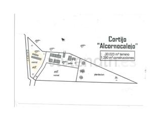 Rural plot in San José del Valle. Cortijo en san josé del valle