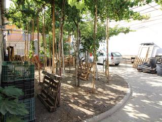 Terreny residencial a El Rocío - La Milagrosa. Parcela en la milagrosa