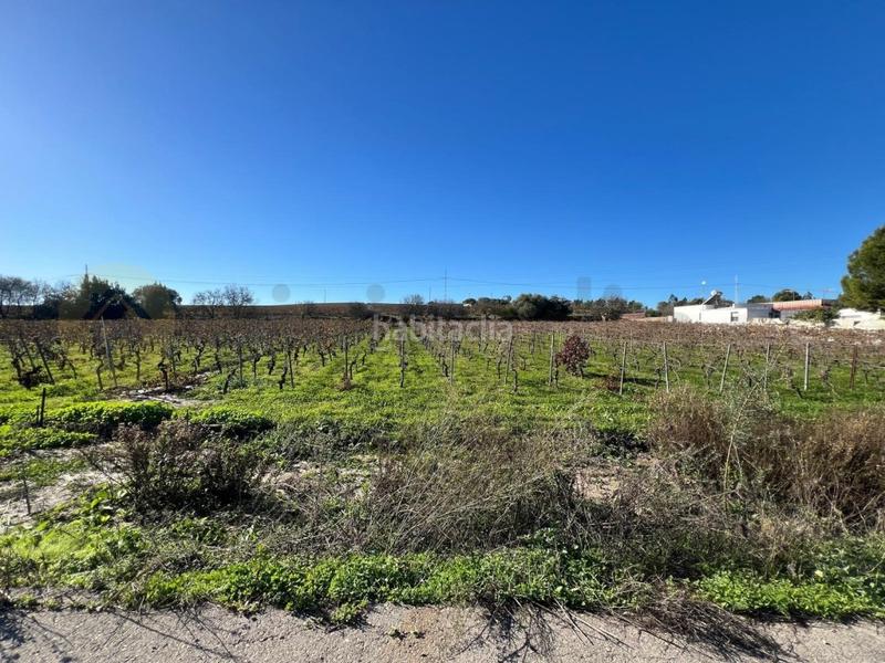 Foto 92b465b0-6094-4a4c-8fcf-5f40d13d6204. Wohngrundstück in Picadueñas Jerez de la Frontera