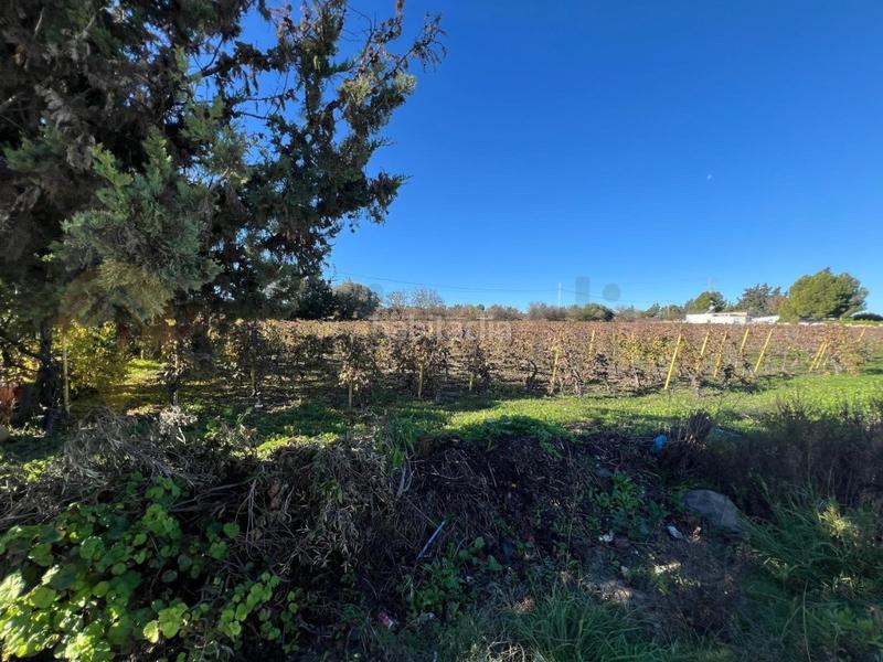 Foto b8375341-ccc2-4df0-981f-d4055449f410. Wohngrundstück in Picadueñas Jerez de la Frontera